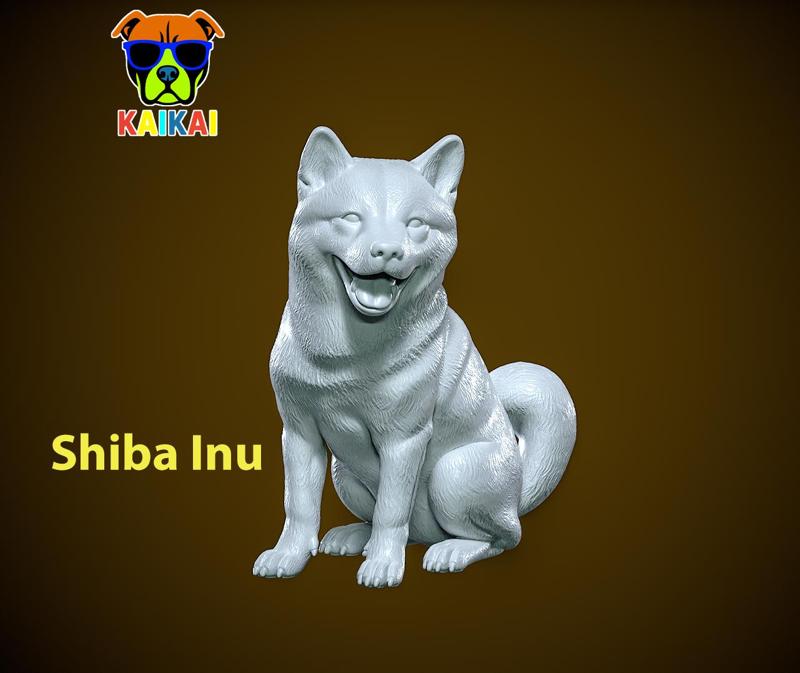 Shiba Inu model - Japanese small dog breed - 3D print