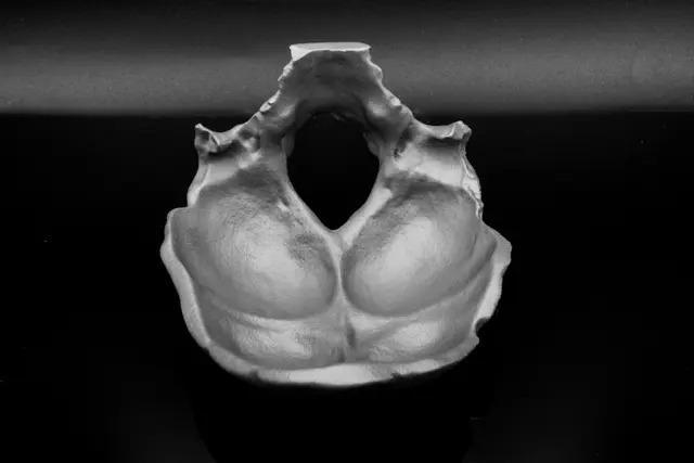 Occipital Bone Bowl