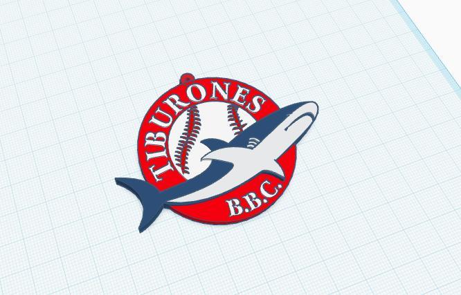 La guaira shark keychain