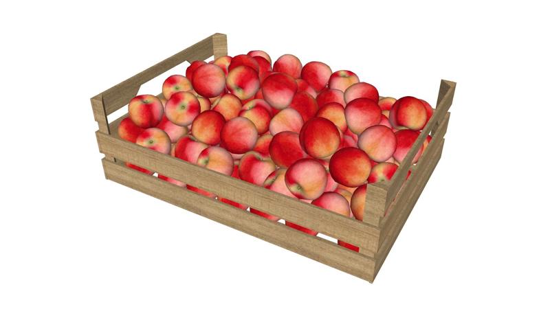 APRICOT VEGETABLE STACK Blackberry Tomato Potato Pepper Bread Pumpkin Zucchini Carrot Lettuce Cabbage Apple Melon Watermelon kactus Pineapple Plantain Banana Grape Ocume Cake Strawberry Hamburger Mango Pear Papaya Mussel Lemon Lemon Basket Box Plate Kiwi