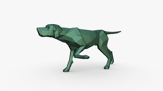 English Pointer