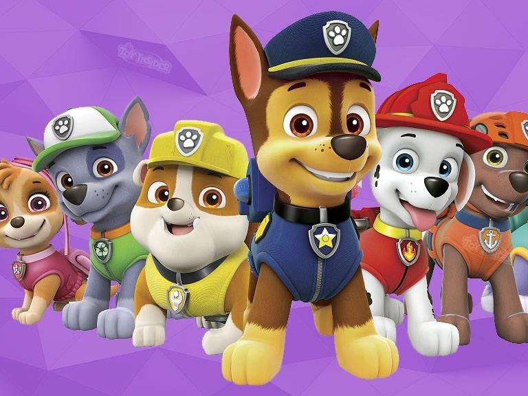 Paw Patrol team