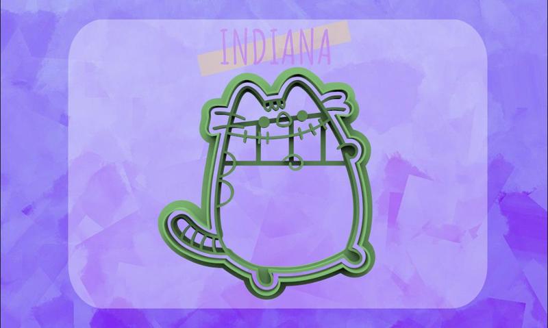 CORTANTE PUSHEEN FRANKENSTEIN