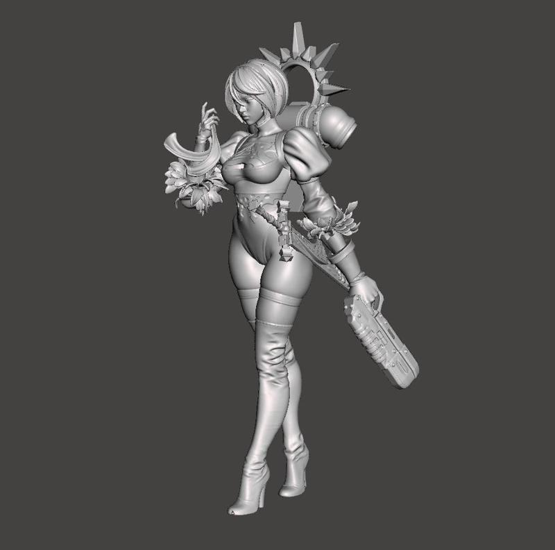 2B palatine proxy for 40 k