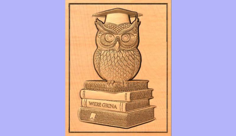 OWL AND BOOKS SYMBOL EDUCATION