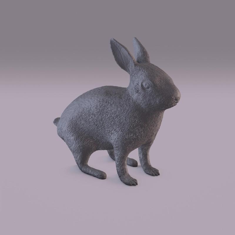 Rabbit