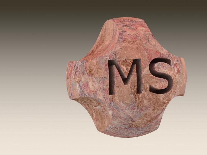 Electric Power Chair Control Grip