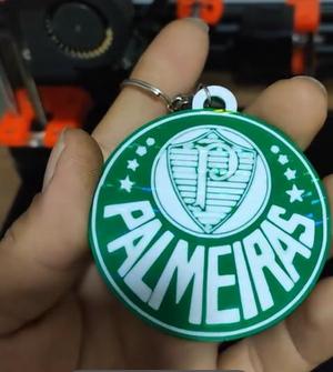 Chaveiro-Palmeiras