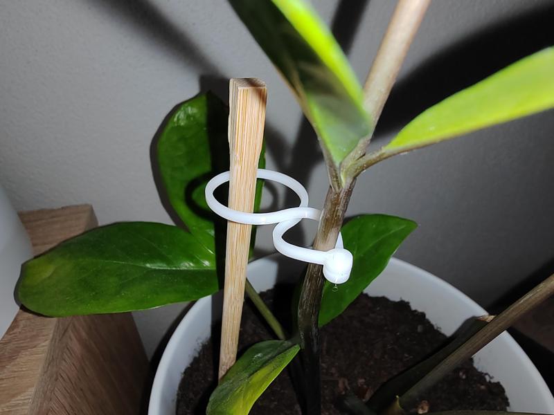 Garden Plant Clip
