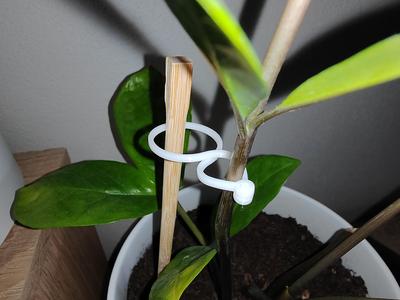 Garden Plant Clip