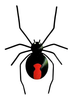 Redback spider