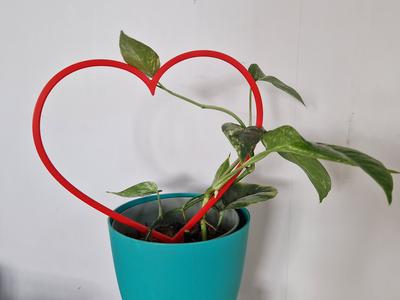 Heart Support
