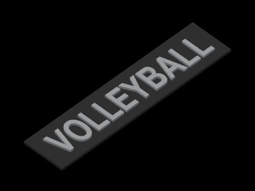 Volleyball Sign