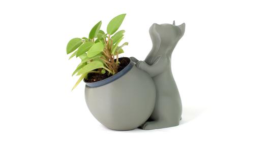 Cat Pot Collection