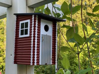 Birdhouse like an outhouse