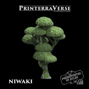 004 PLANT Niwaki Tree