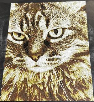 Teddy our cat - Hueforge