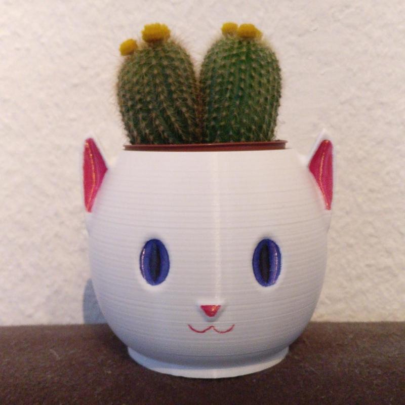 Cat Planter without Supports