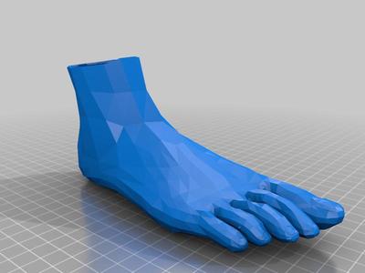 Foot holder