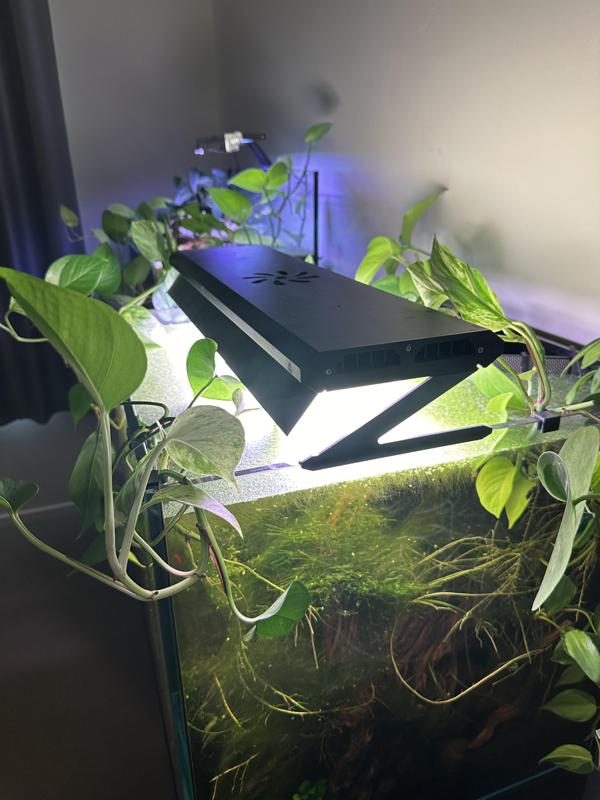 Aquarium Light Shade - Week Aqua P series