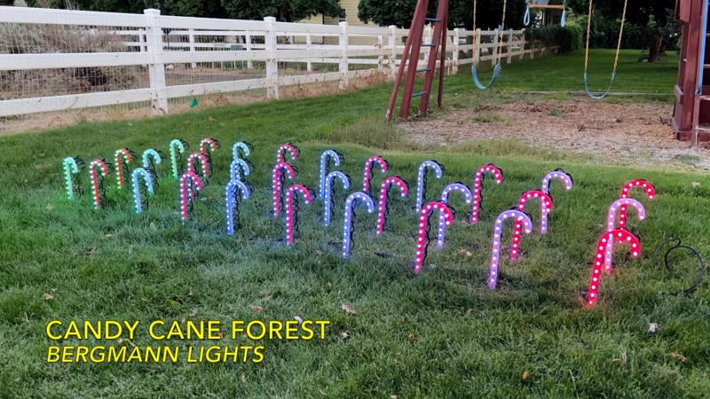 Candy Cane Forest