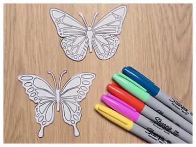 Butterfly DIY Color Cute 4