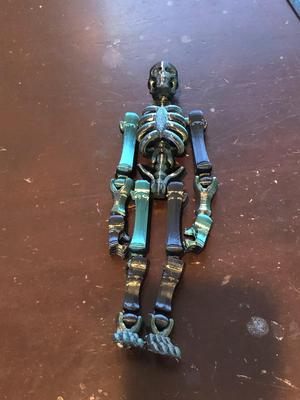 skeleton