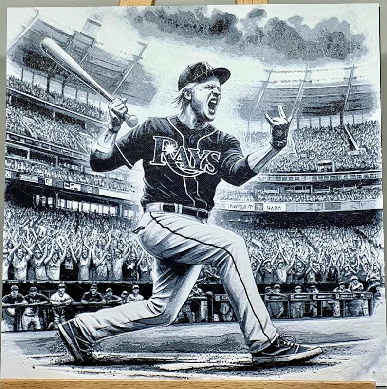 Play Ball! Tampa Bay Rays #6