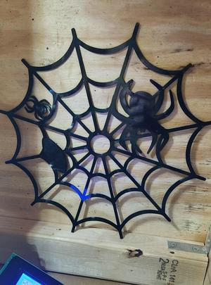 Web with Spider