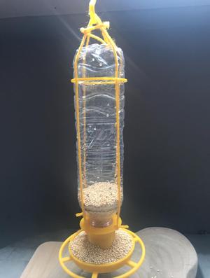 bottle bird feeder