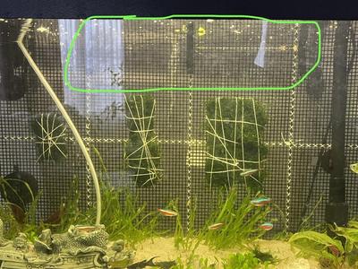 aquarium holder / net holder / moss holder