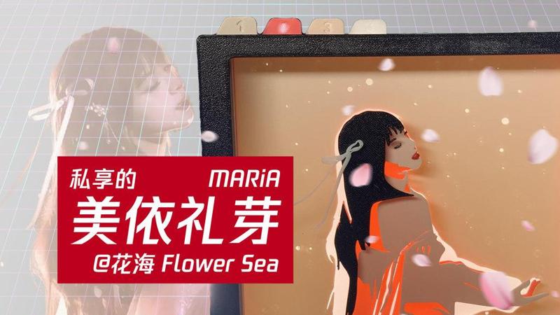 美依礼芽·花海·剪影画 MARiA Floral Sea Shadow Box