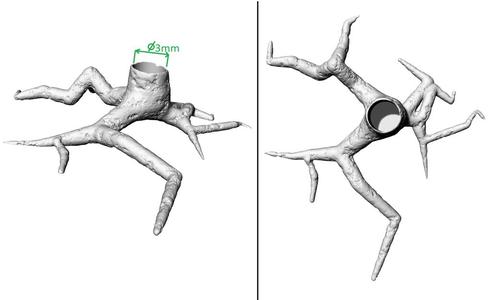 Tree base for scenography