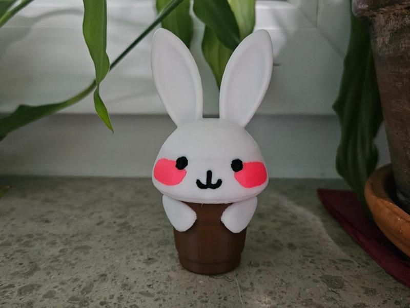 Pot Bunny