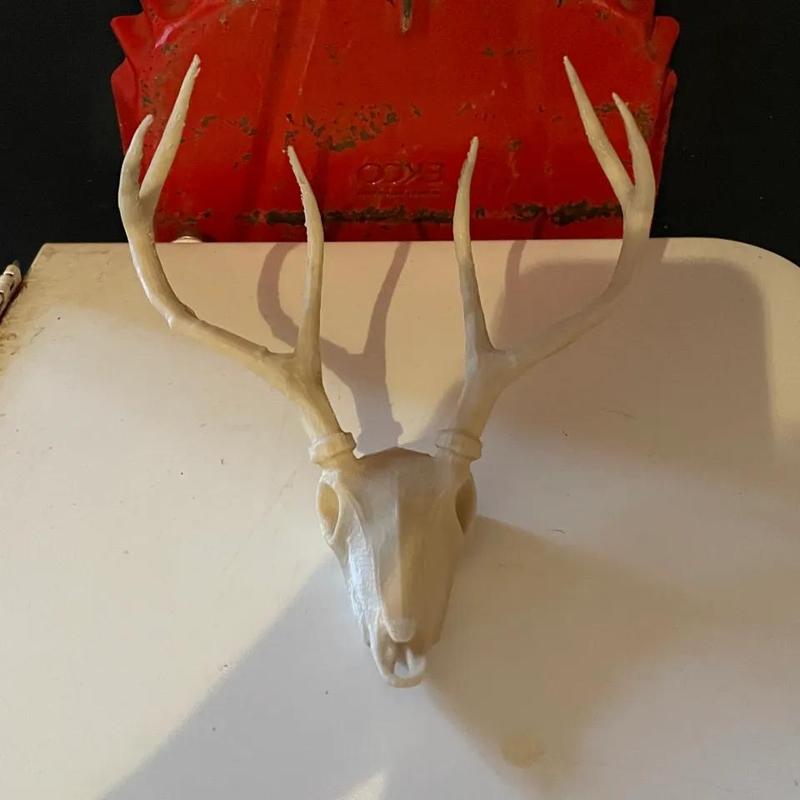 Mini Deer Skull/Jackelope fridge magnet (7) 5x2 mm magnets   