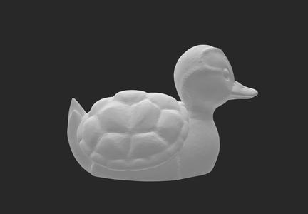 Turtle duck