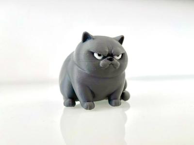 Polly die "NEIN-KATZE" Fat Cat Angry British short