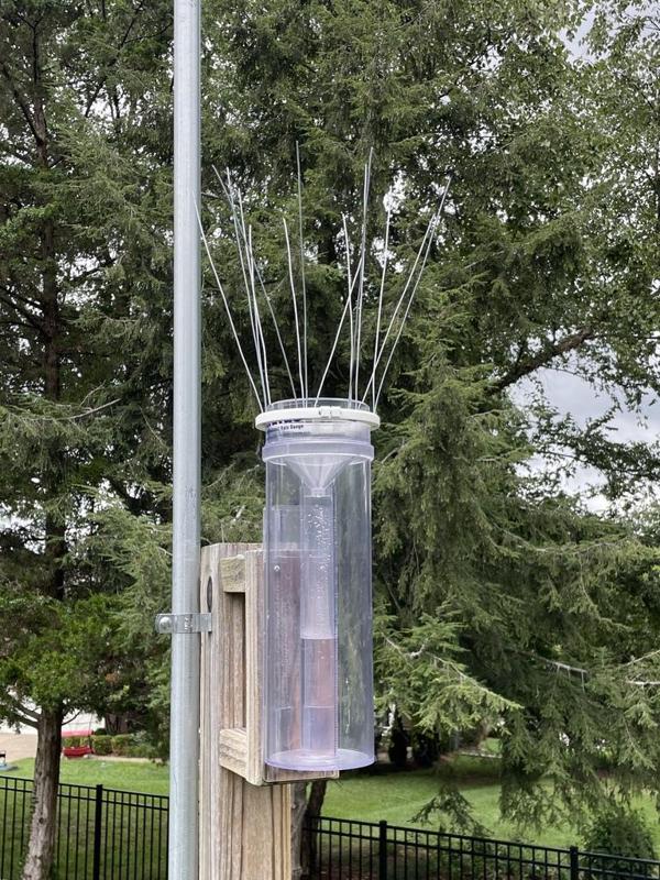 Stratus Rain Gauge Bird Spike Ring