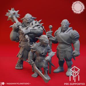 Goblinoid Crew - Tabletop MIniatures (Pre-Supported)