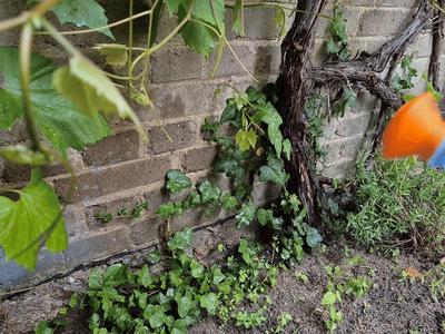Bottle Shower and Water Sprinkler Nozzle (for PET)
