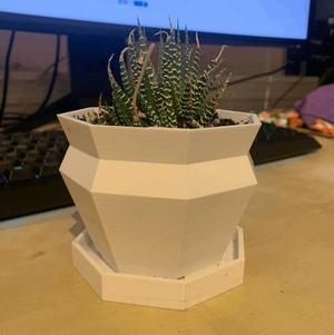Small Succulent Pot w/ Indents