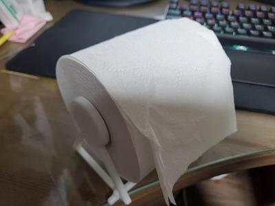 Toilet Paper Holder