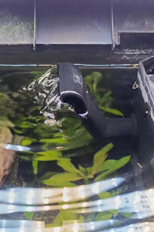 Juwel Bioflow Super - Waterfall Outlet   