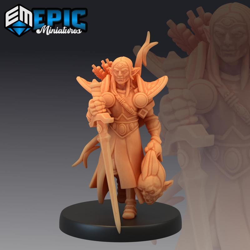 Elf Paladin / Player Character / Sword Warrior