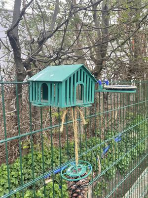 Birdhouse (Vogelhaus)