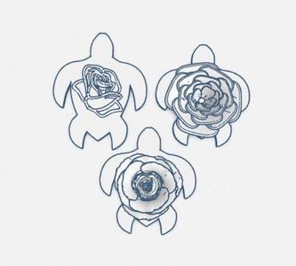 rose turtle