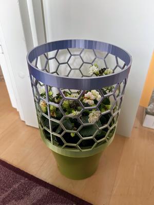 Honeycomb cylinder