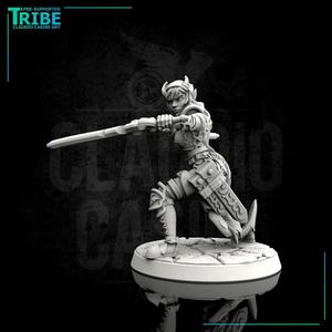 (0068) Female elf human tiefling thief or ranger with two weapons