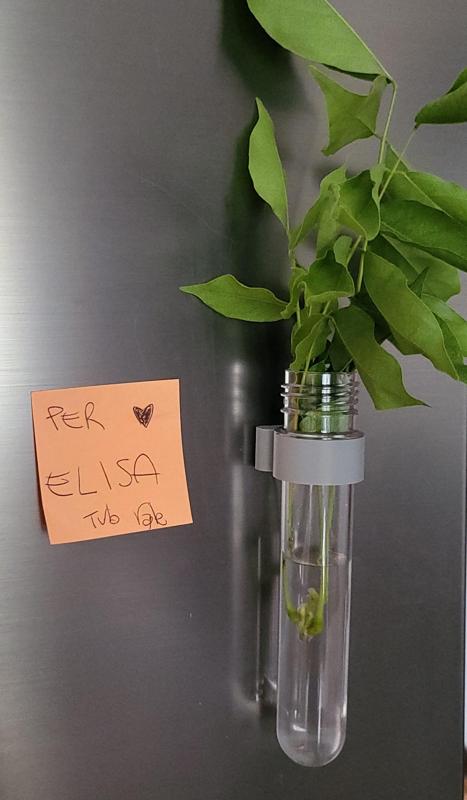 test tube magnetic holder