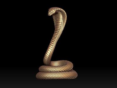 cobra